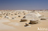 White Desert National Park