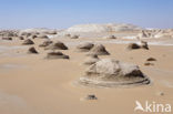 White Desert National Park