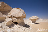 White Desert National Park