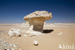 White Desert National Park