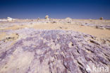 White Desert National Park