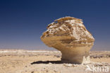 White Desert National Park