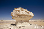 White Desert National Park