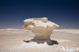 White Desert National Park