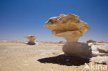 White Desert National Park