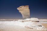 White Desert National Park