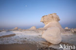 White Desert National Park