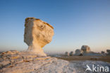 White Desert National Park