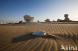 White Desert National Park