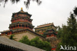 Yiheyuan