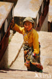 Gandan Sumtseling Monastery