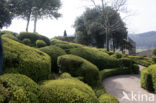 Marqueyssac Gardens