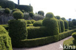 Jardins de Marqueyssac