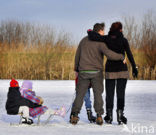 Kinderdijk