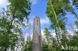 Bavarian Forest National Park
