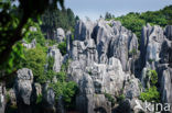 Shilin National Park