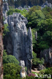 Shilin National Park