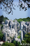 Shilin National Park