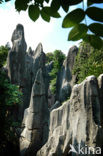 Shilin National Park