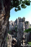 Shilin National Park