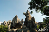 Shilin National Park