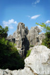 Shilin National Park