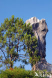 Shilin National Park