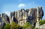 Shilin National Park