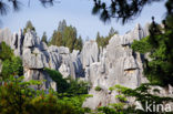 Shilin National Park