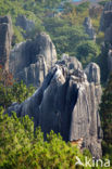 Shilin National Park