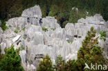 Shilin National Park