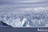 Spitsbergen