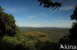 Bwindi Impenetrable Forest National Park