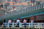 Galata brug