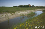 Lage land van Texel