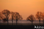 Nationaal Park de Biesbosch