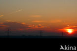 Nationaal Park de Biesbosch