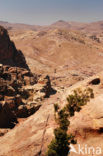 Petra