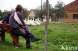 Roemenië