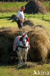 Romania