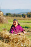 Romania
