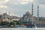 Suleymaniye Mosque