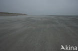 Ameland