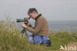 Cap Gris-Nez