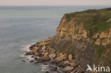 Cap Gris-Nez