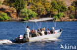 Chobe national park