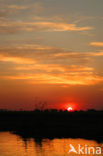 Chobe national park