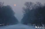 Eindhovens kanaal