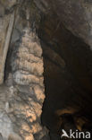 Caves of Han-sur-Lesse