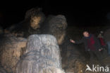 Caves of Han-sur-Lesse